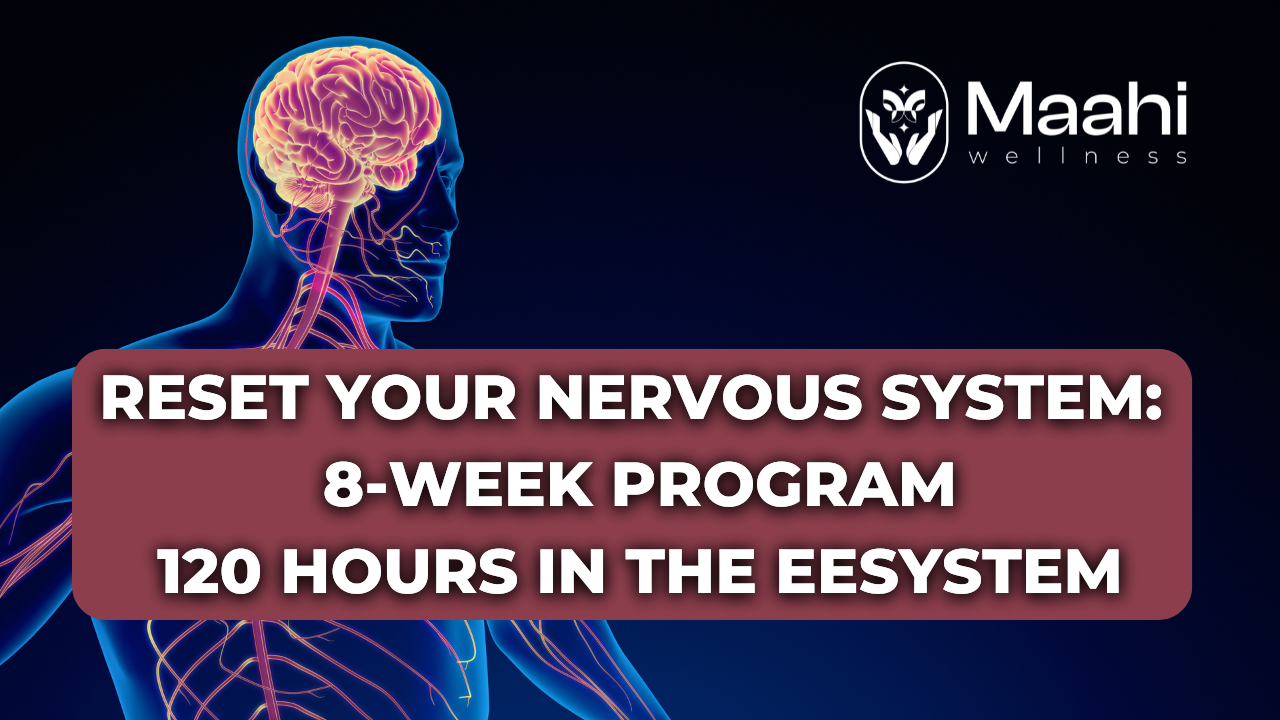 Nervous System Reset Program: 120 Hours of Support for Deep Healing ...